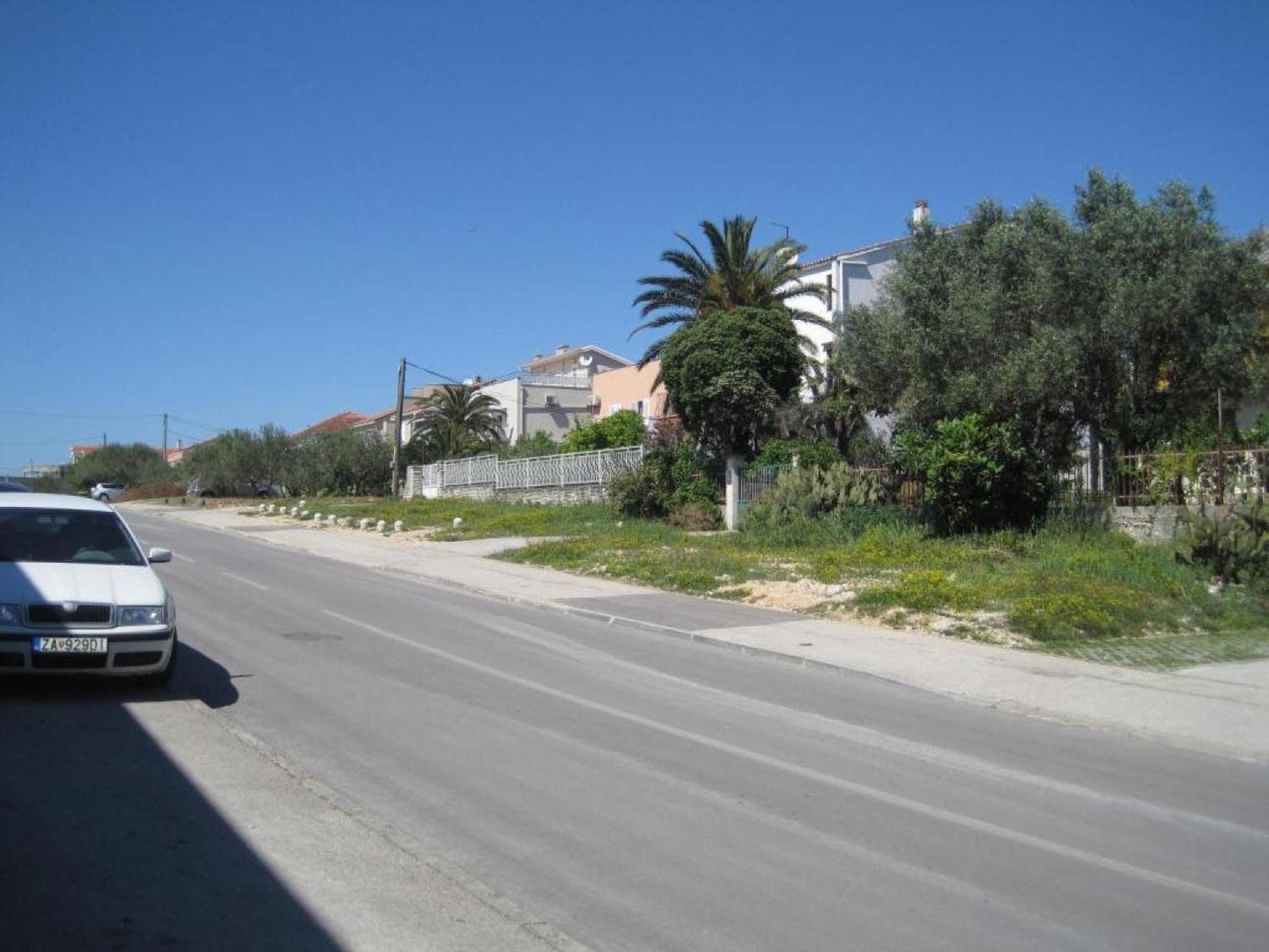 Amalia Zadar