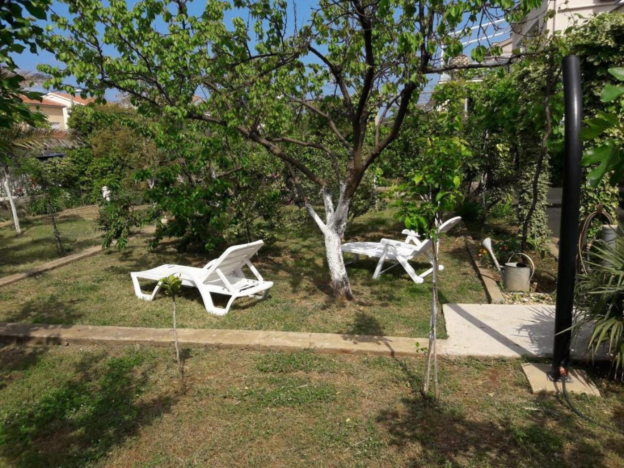 Amalia Appartement Zadar