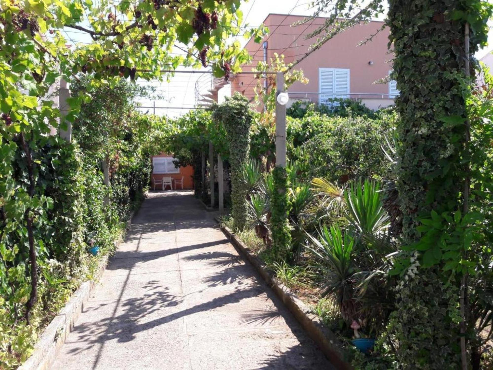 Amalia Appartement
